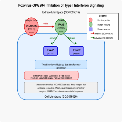 FIG-62b4ffe300002814-Poxvirus_OPG204_inhibition_of_type_I_interferon_signaling___Human_Poxvirus__