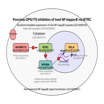 FIG-62b4ffe300005342-Poxvirus_OPG179_inhibition_of_host_NF_kappa_B_via_BTRC__Human_Poxvirus__