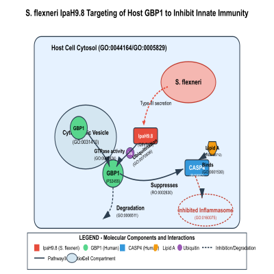 FIG-63c0ac2b00000331-IpaH9_8_effector_protein_from_S_flexneri_ubiquitinate_host_GBP1__leading_to_its_degradation_and_inhibition_of_innate_immunity__Human_and_S_flexneri_