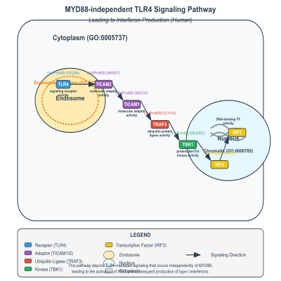 FIG-6413ac9800000654-MYD88_independent_TLR4_signaling_pathway_leading_to_interferon_production__Human_