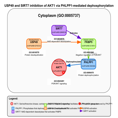 FIG-65a1f4f800000029-USP49_and_SIRT7_inhibition_of_AKT1_via_PHLPP1_mediated_dephosphorylation_of_AKT1__Human_